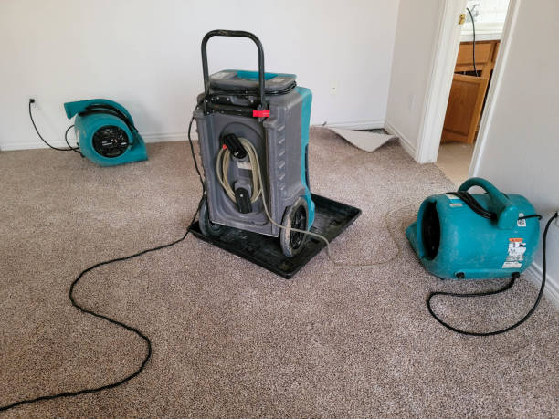 Best Residential water damage restoration  in Kutztown University, PA