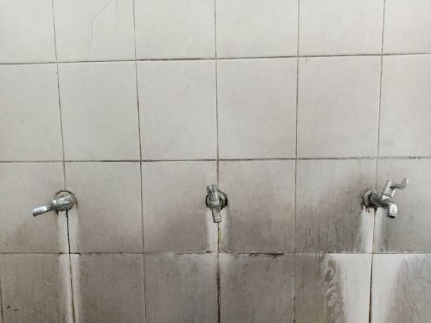 Best 24/7 water damage repair  in Kutztown University, PA
