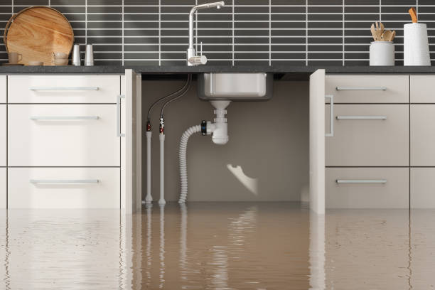 Best Water damage repair service  in Kutztown University, PA
